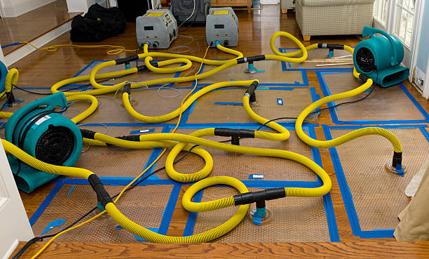 Professional Crawl Space Water Removal technician working in Middleville, MI